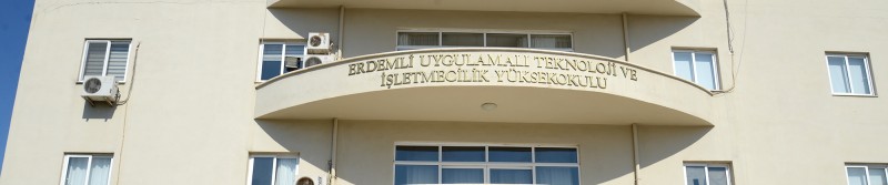 Genel Görünüm