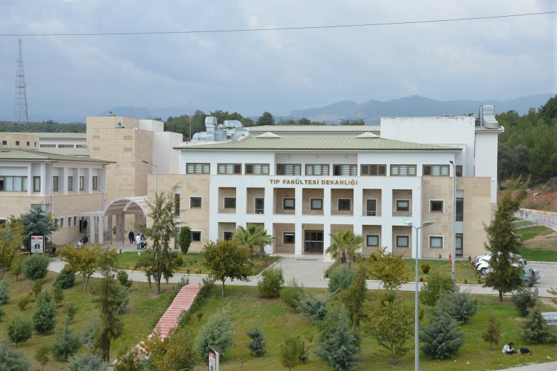 Genel Görünüm