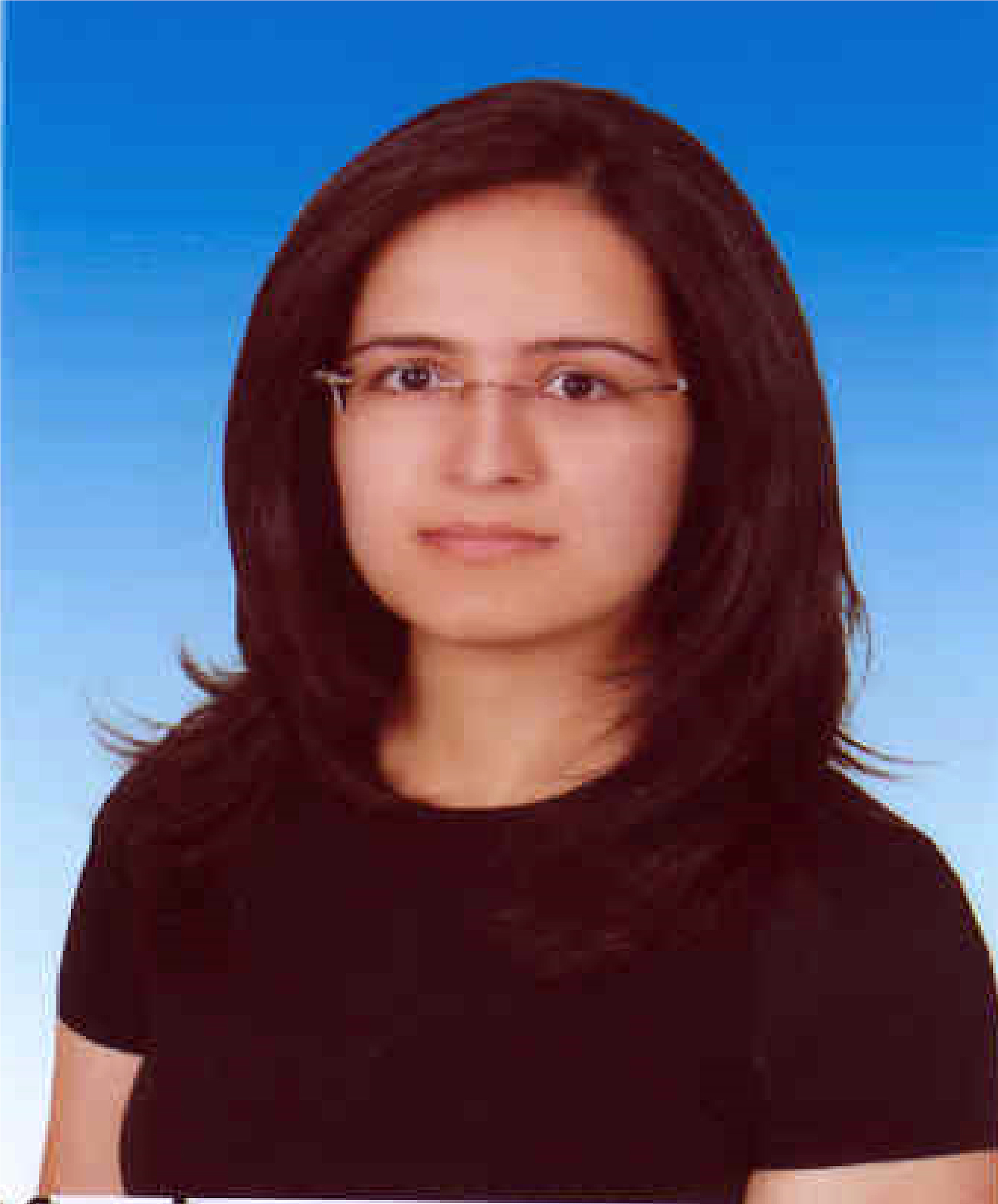 NİLGÜN DAĞ